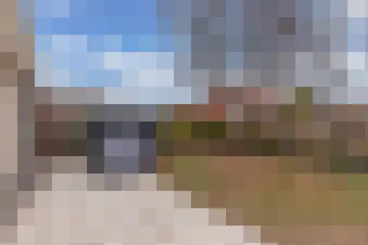 Groene Zoom 12 Marknesse thumbnail 34