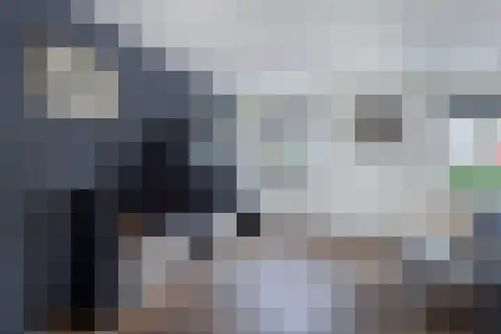 Groene Zoom 12 Marknesse thumbnail 8