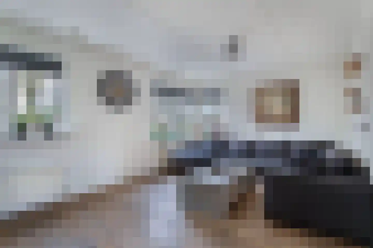 Groene Zoom 12 Marknesse thumbnail 8