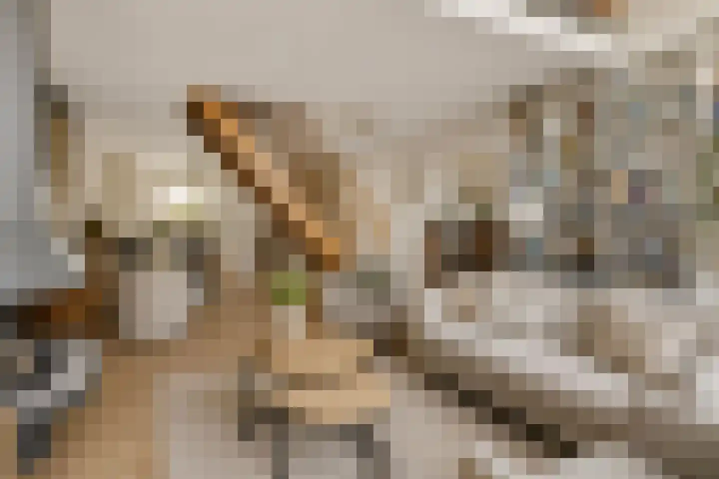 Groene Zoom 14 Delft thumbnail 15