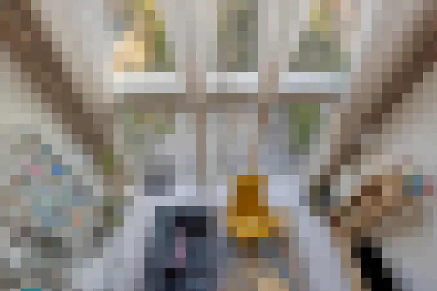 Groene Zoom 14 Delft thumbnail 16