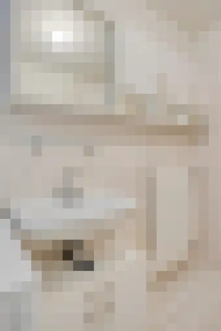 Groene Zoom 14 Delft thumbnail 39