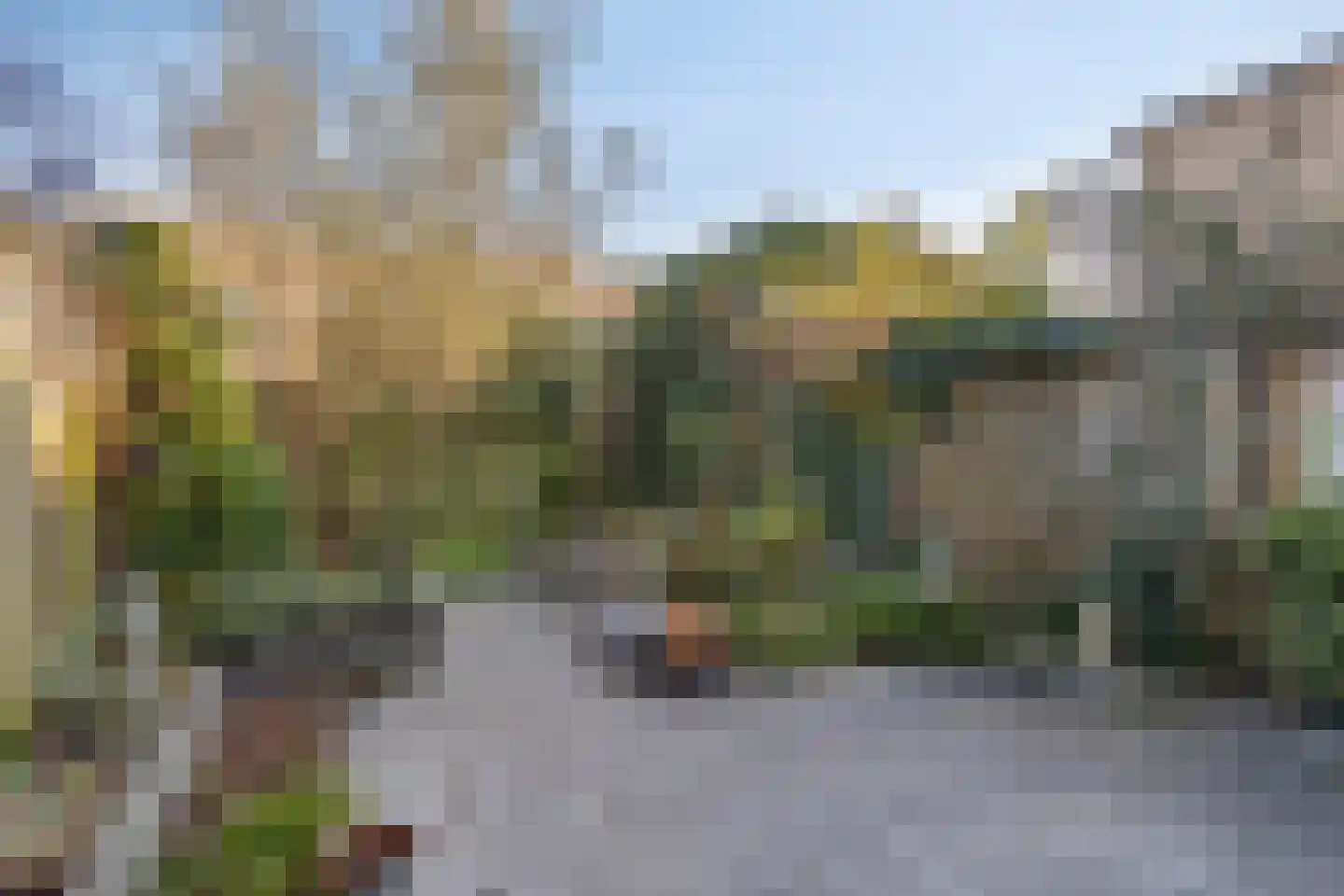 Groene Zoom 14 Delft thumbnail 40