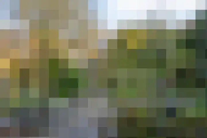 Groene Zoom 14 Delft thumbnail 42