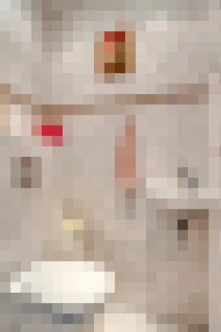 Groene Zoom 14 Delft thumbnail 6