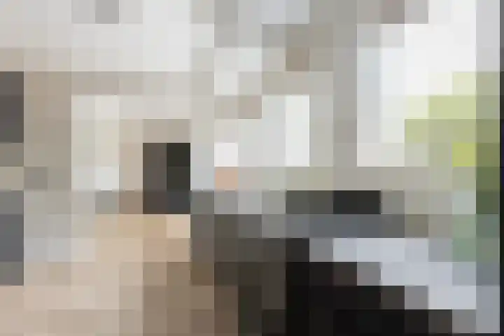 Groene Zoom 2 Ten Boer thumbnail 10