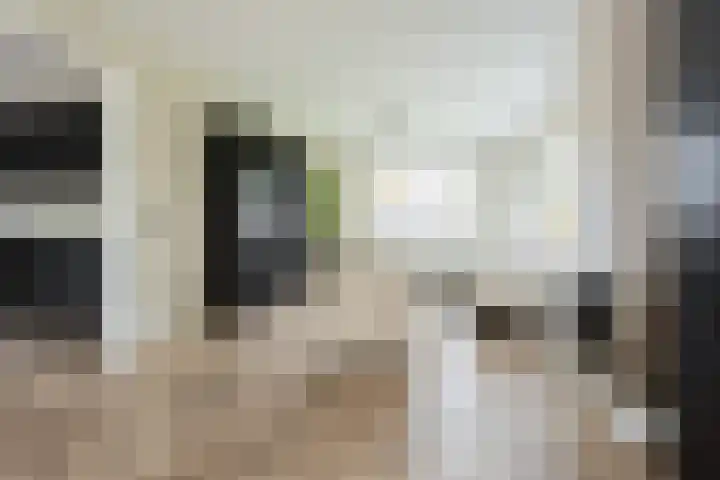 Groene Zoom 2 Ten Boer thumbnail 11