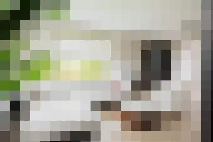 Groene Zoom 2 Ten Boer thumbnail 12