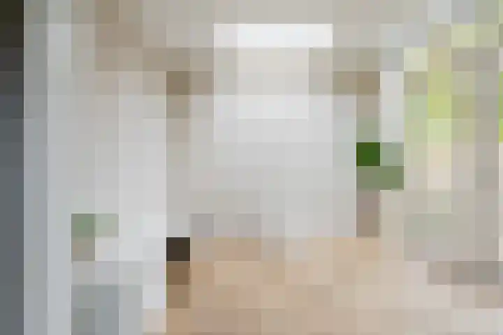 Groene Zoom 2 Ten Boer thumbnail 13