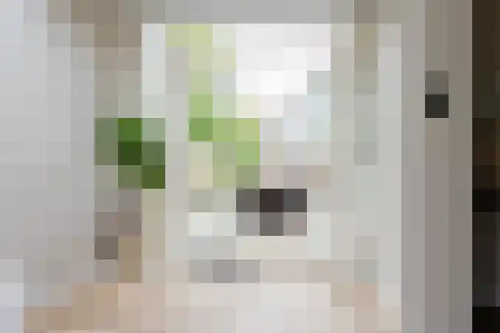Groene Zoom 2 Ten Boer thumbnail 14