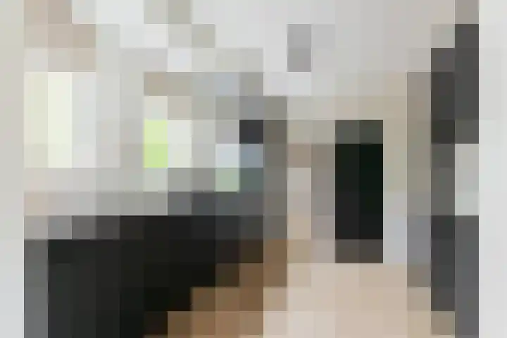 Groene Zoom 2 Ten Boer thumbnail 16