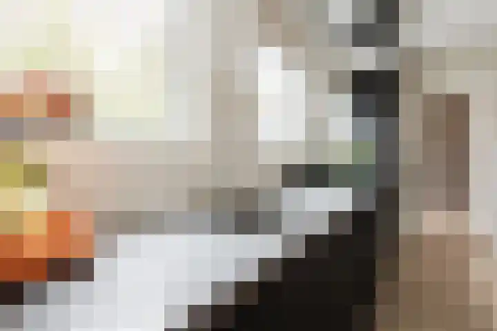 Groene Zoom 2 Ten Boer thumbnail 17