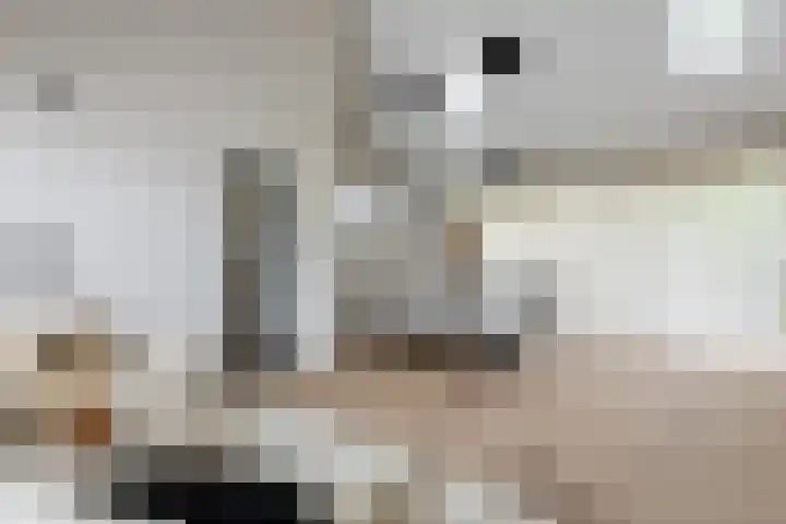Groene Zoom 2 Ten Boer thumbnail 19