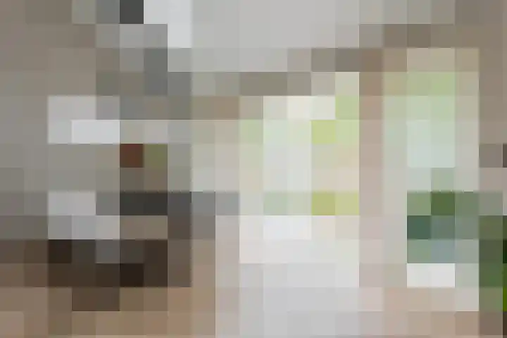 Groene Zoom 2 Ten Boer thumbnail 20