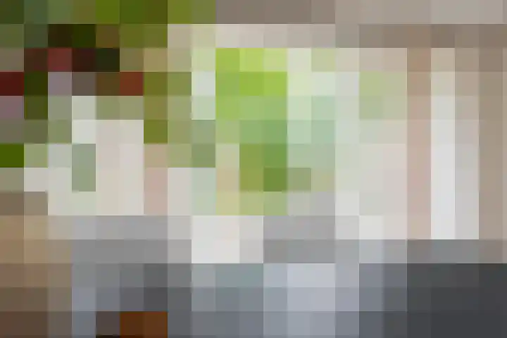 Groene Zoom 2 Ten Boer thumbnail 21