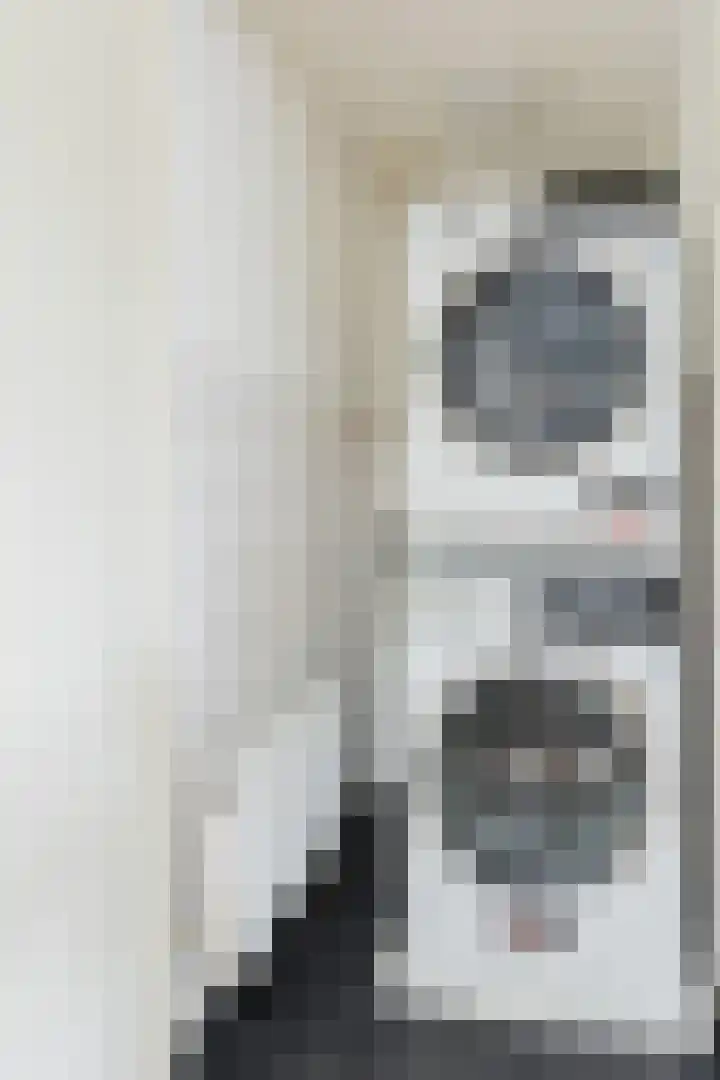 Groene Zoom 2 Ten Boer thumbnail 22