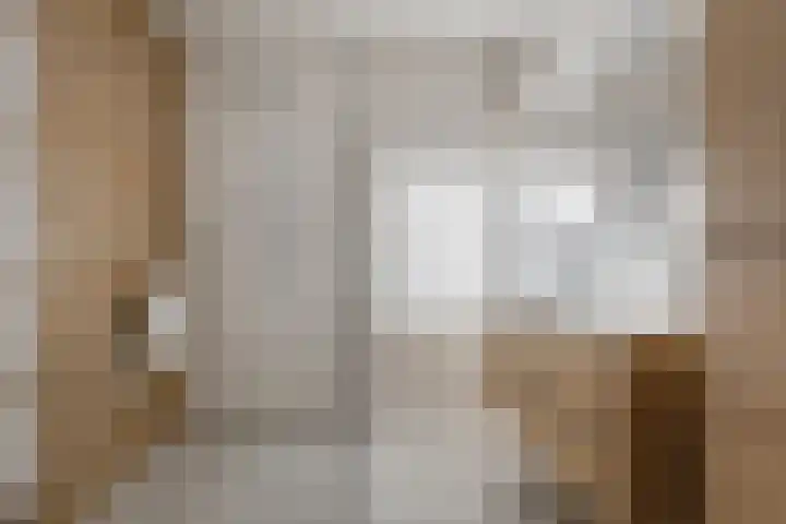 Groene Zoom 2 Ten Boer thumbnail 23