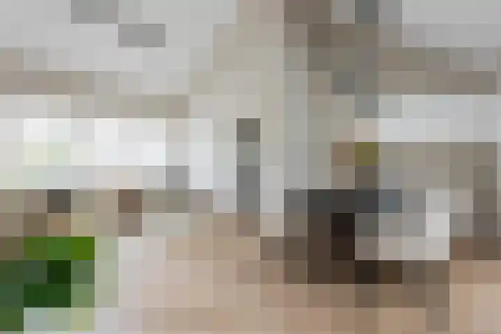 Groene Zoom 2 Ten Boer foto 3