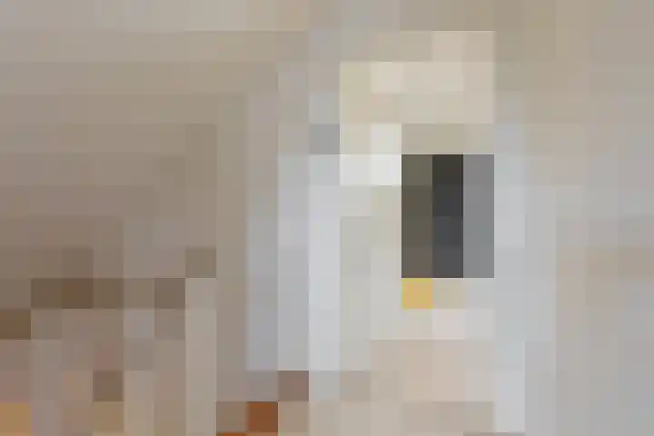 Groene Zoom 2 Ten Boer thumbnail 32