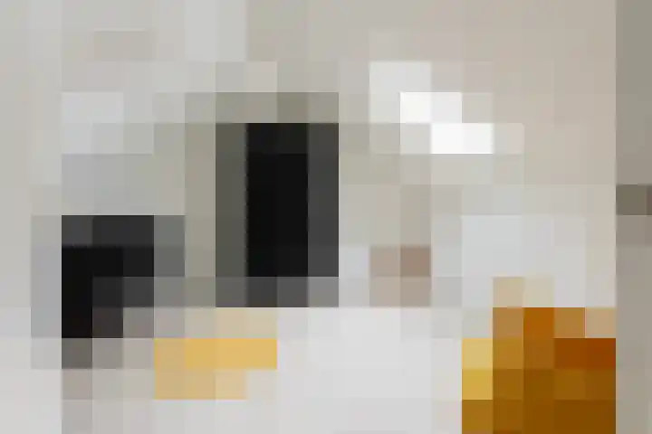 Groene Zoom 2 Ten Boer thumbnail 33