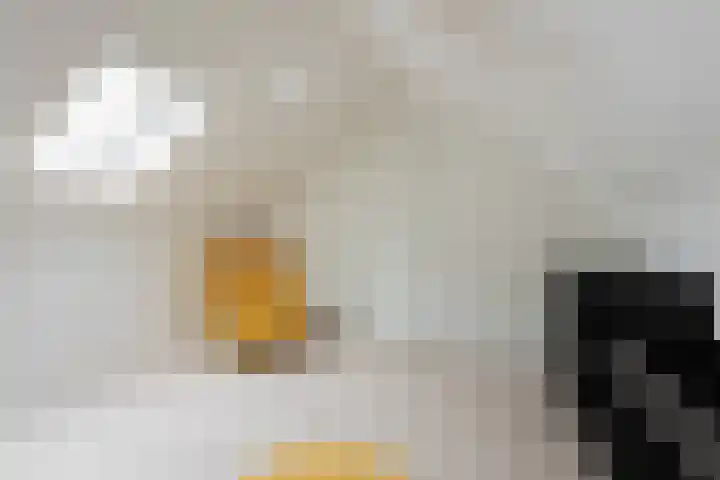 Groene Zoom 2 Ten Boer thumbnail 35