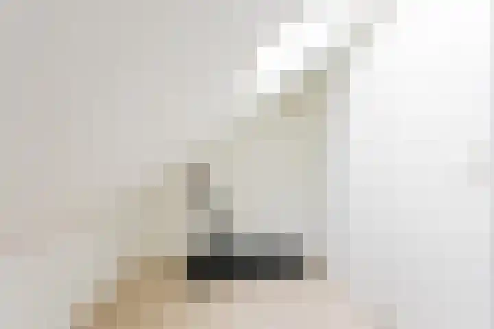 Groene Zoom 2 Ten Boer thumbnail 37