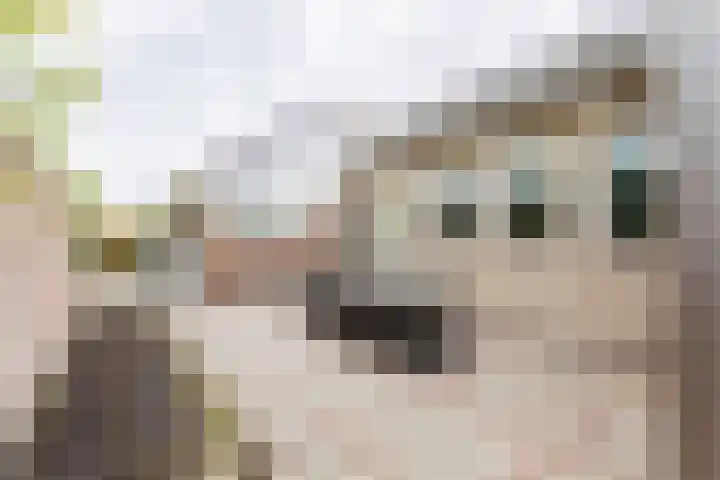 Groene Zoom 2 Ten Boer thumbnail 38