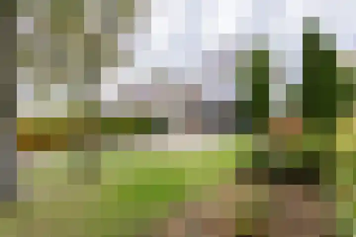 Groene Zoom 2 Ten Boer thumbnail 4
