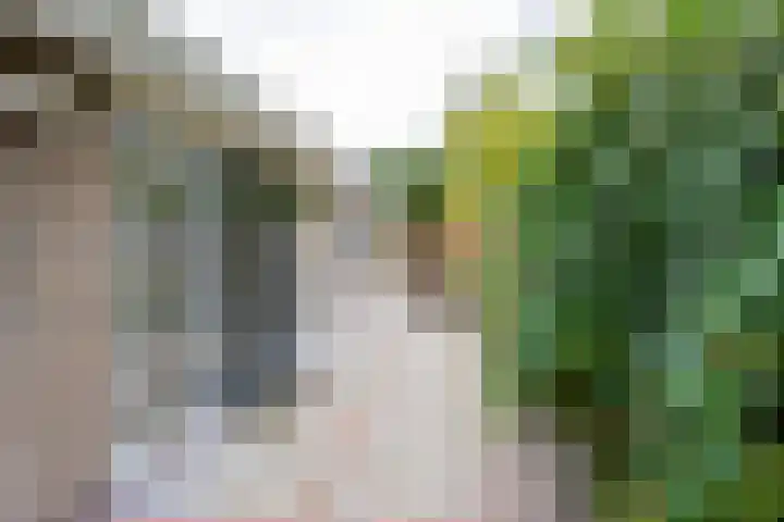 Groene Zoom 2 Ten Boer thumbnail 41