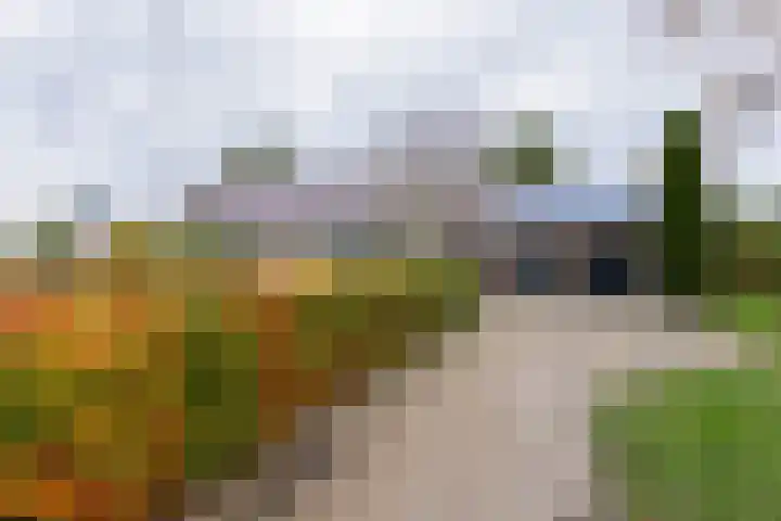 Groene Zoom 2 Ten Boer thumbnail 42