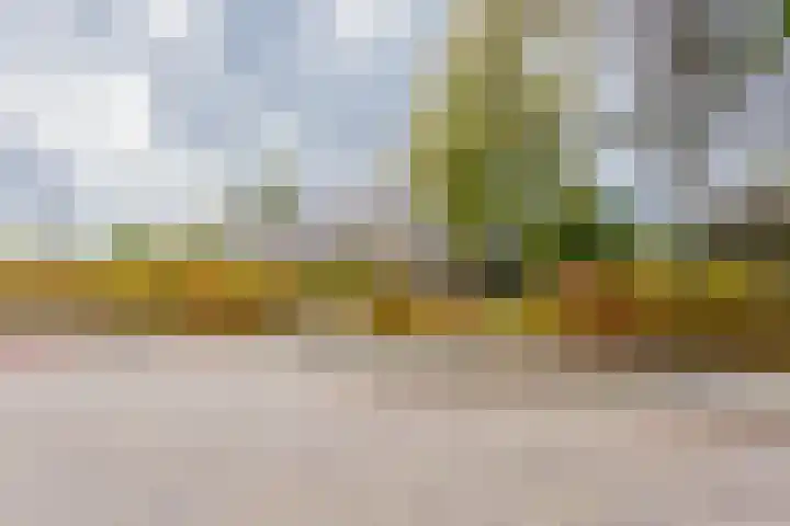 Groene Zoom 2 Ten Boer thumbnail 44