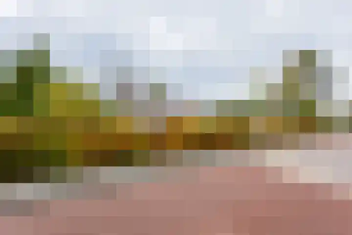 Groene Zoom 2 Ten Boer thumbnail 45