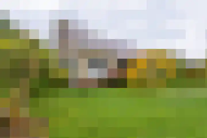 Groene Zoom 2 Ten Boer thumbnail 46