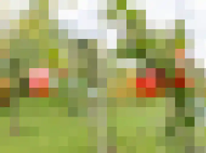 Groene Zoom 2 Ten Boer thumbnail 48