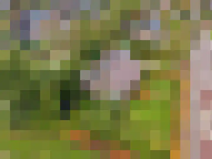 Groene Zoom 2 Ten Boer thumbnail 49
