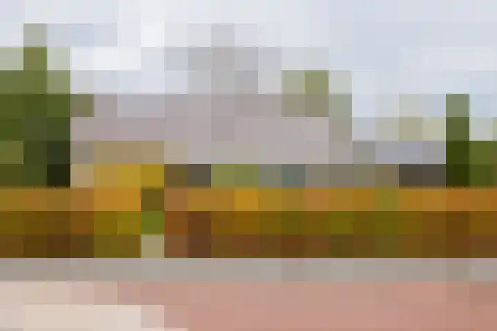 Groene Zoom 2 Ten Boer thumbnail 5