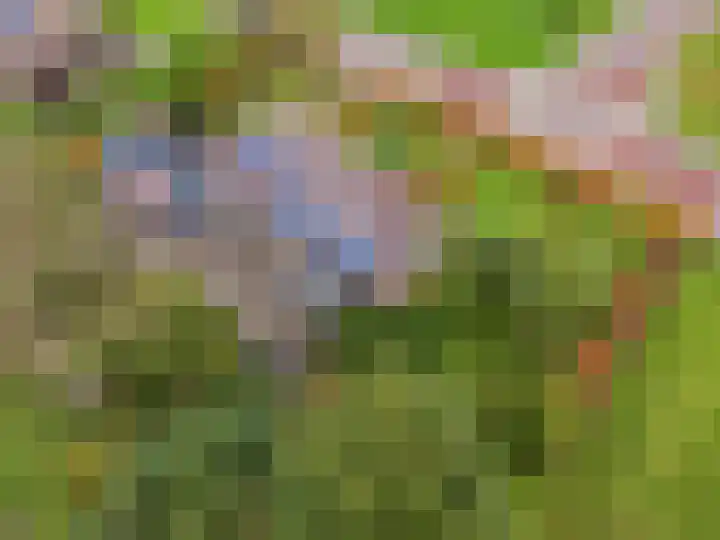Groene Zoom 2 Ten Boer thumbnail 50