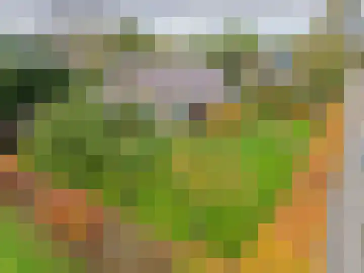 Groene Zoom 2 Ten Boer thumbnail 51
