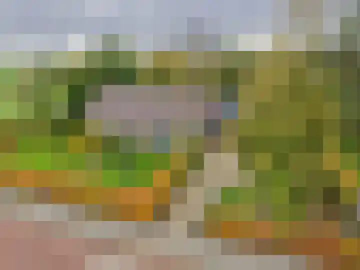 Groene Zoom 2 Ten Boer thumbnail 52
