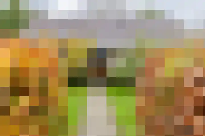 Groene Zoom 2 Ten Boer thumbnail 6