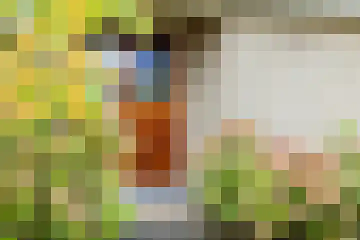 Groene Zoom 2 Ten Boer thumbnail 7