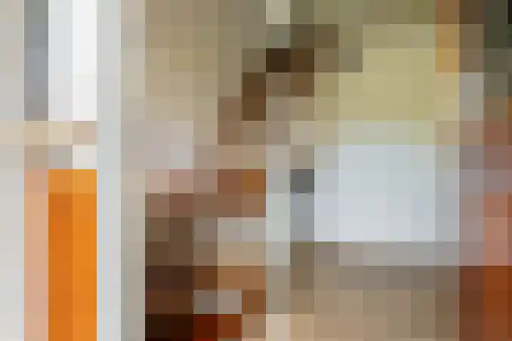 Groene Zoom 2 Ten Boer thumbnail 8