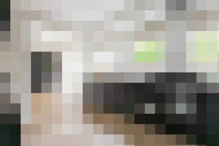 Groene Zoom 2 Ten Boer thumbnail 9
