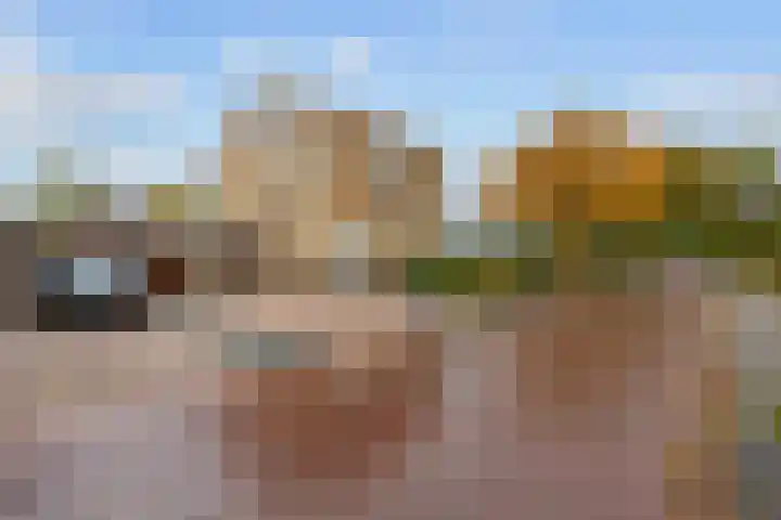 Groene Zoom 26 Roden thumbnail 10