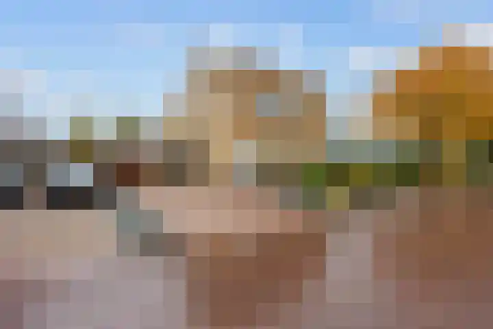 Groene Zoom 26 Roden thumbnail 11