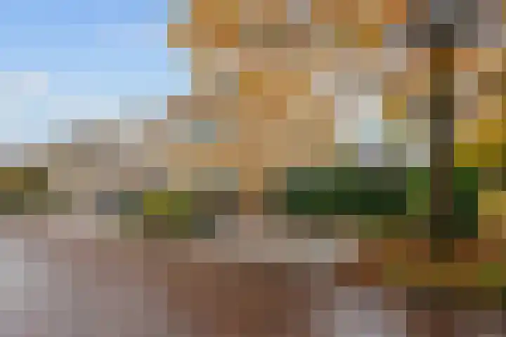 Groene Zoom 26 Roden thumbnail 12