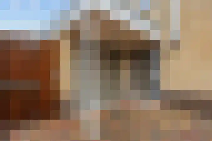 Groene Zoom 26 Roden thumbnail 13