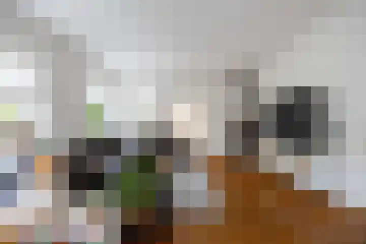 Groene Zoom 26 Roden thumbnail 19