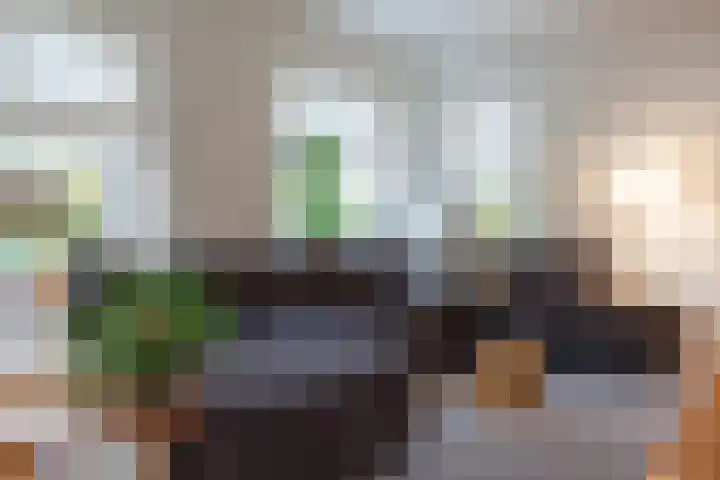 Groene Zoom 26 Roden thumbnail 20