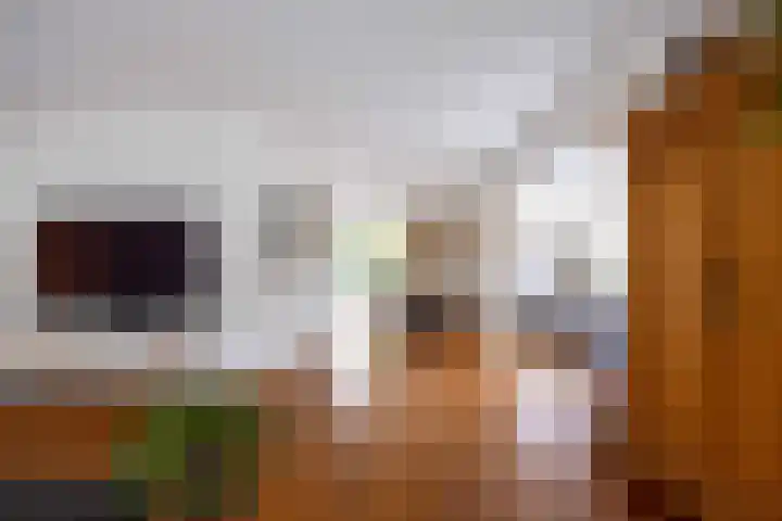 Groene Zoom 26 Roden thumbnail 24